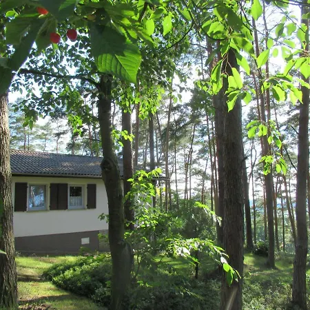 Mengshausen Holiday home Niederaula