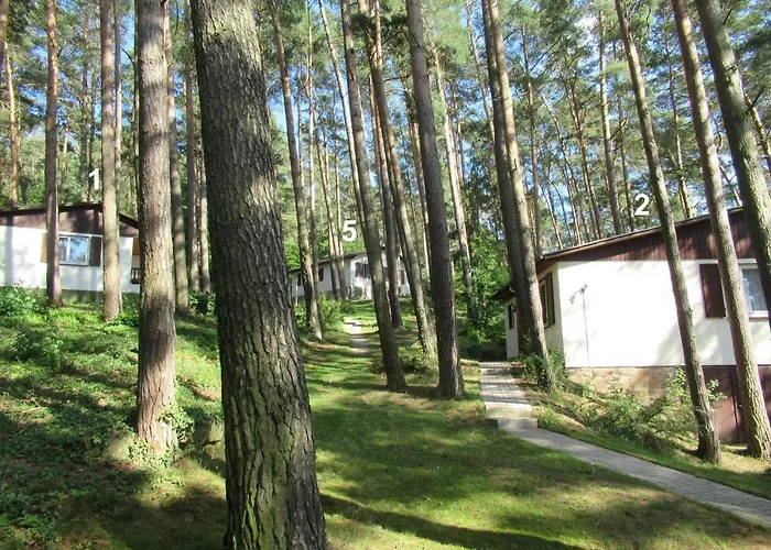 Holiday home Mengshausen *